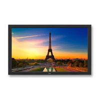 Nec V551 (60003170)